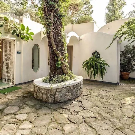 Gocce - Coral Di Lusso 1950 Capri